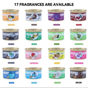 Khối gỗ đóng hộp Hương Nước hoa Car Bhouse